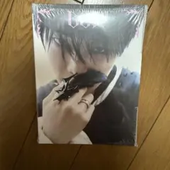 Stray Kids　Do it accordion ver. I.N　未開封