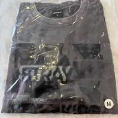 straykids RUN IT JAPAN フォトTシャツ 黒 M スキズ ② - メルカリ