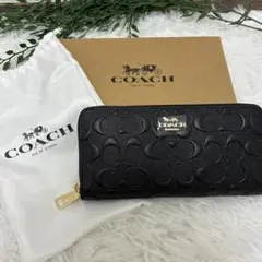 R*s様 COACH コーチ 長財布 F53834 ブラック ラウンドジップ 新 - メルカリ