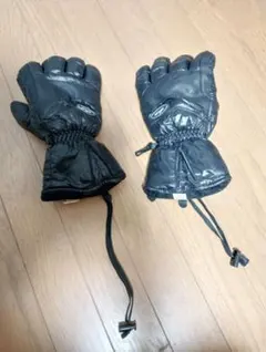 Item thumbnail for item 0799374b-3a77-4118-9417-3393f9de39b0