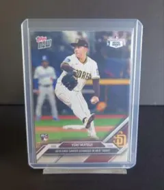 Item thumbnail for item 44f841e1-672f-42f1-aaa3-0eb379e654fd