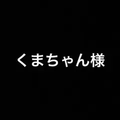くまちゃん様 リクエスト 2点 まとめ商品 生地 布地