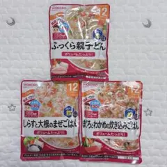 【即購入OK】和光堂 WAKODO ベビーフード 12か月 ３種セット