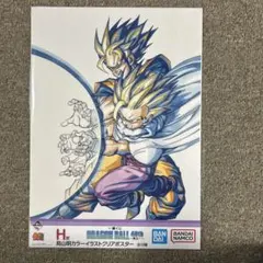 一番くじドラゴンボール40TH其之ーエ 賞親子かめはめ波