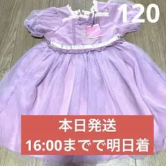 バースデイ　ディズニー　cottoli コトリ ラプンツェル 120　Dハロ