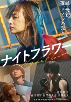 ナイトフラワー DVD 北川景子 佐久間大介