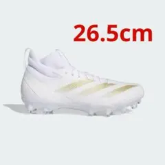 Item thumbnail for item 018abcb4-7b99-4272-8b84-f8ebcdc29a3f