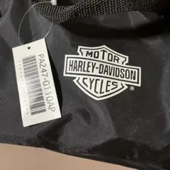 Item thumbnail for item 032f387a-4268-4055-b11e-0281bd52f0e7