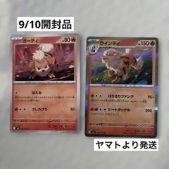 ストームエメラルダ　ガーディ　ウインディR セット