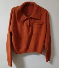 シーイン　ニット　セーター　襟付き　長袖　レディース