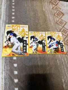 中日ドラゴンズ 竜ブロマイド 大島　細川&松山セット