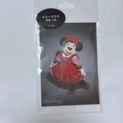Disney☆ディズニー☆ミニーマウス写真6枚セット