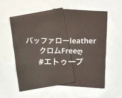 Item thumbnail for item eee6b9c0-2737-4bd2-abbb-96df9ef61769