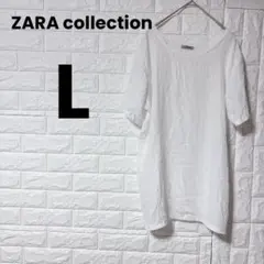 【美品】ZARA collection [L相当] 高級ライン コットンTシャツ