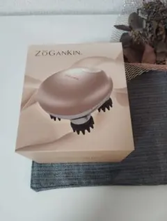ZoGanKin 美顔器 ゴールド 充電ケーブル付き ZOGANKIN®︎ ゾーガンキンスカルプ EMS付 美顔器 – SOLVE beauty