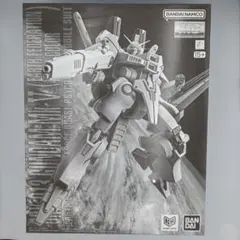 MG ORX-013 ガンダムMk-V (連邦カラー)