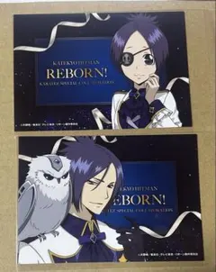 希少】 家庭教師ヒットマンREBORN! カラ鉄 アクリルスタンド 全11種