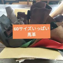 60サイズ馬革ハギレ革素材本革高品質イタリア馬