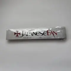 バイオハザードIV JAPNESE FAN オリジナル扇子　非売品