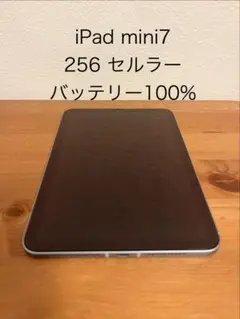 iPad mini7 256GB セルラー ブルー