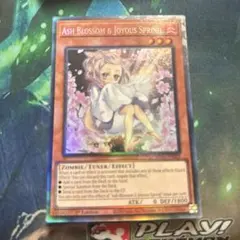 2025年最新】遊戯王 灰流うらら コレクターズレアの人気アイテム