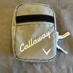 値下げしました！未使用⭐︎Callaway グレー ジッパー付きポーチのサムネイル