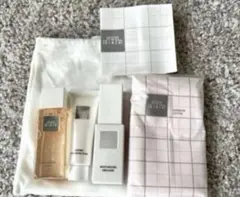 2025年最新】ザギンザ ファーストクラス anaの人気アイテム - メルカリ