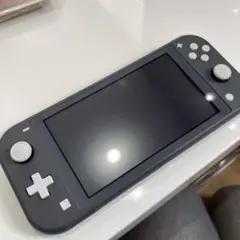 Nintendo Switch NINTENDO SWITCH LITE グレー