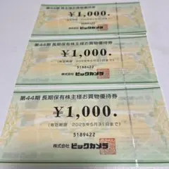 新品　未使用　ビックカメラ　株主優待　お買物優待券　3000円分
