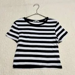 ザラ　ボーダー半袖タイトTシャツ　カットソー　M トップス　a1945