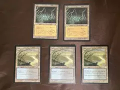 MTG 土地ルートウォーターの深淵など青黒　計5枚