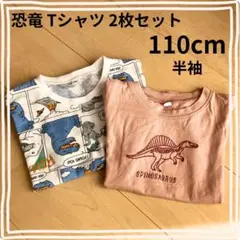 【美品】恐竜Tシャツ 2枚組 110 半袖 セット売り スピノサウルス