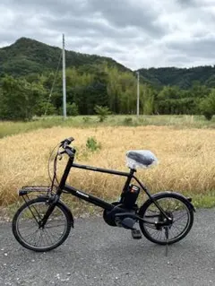 STRIEMO ストリーモ S01JT 電動 公道走行可 リアキャリア金具付属