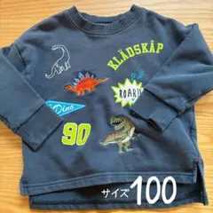 クレードスコープ　トレーナー100