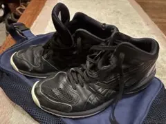 ASICS GELHOOP バスケットシューズ 24.5cm