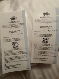 ディズニーランド　ハッピーエントリー　5/27入場　2枚のサムネイル