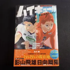 ハイキュー!!マガジン 2024年特集号 付録全て付いてます。