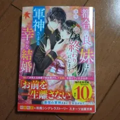 湊祥　スターツ出版文庫　tl小説 ラノベ