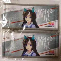 ホッコータルマエ ウマ娘 ミニ応援タオルキーホルダー　2枚