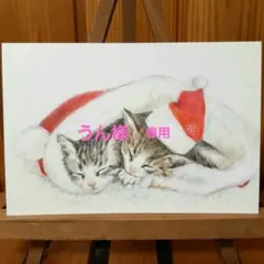 色鉛筆画　手描き　子猫　クリスマス