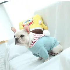 ペット服 帽子付き 防寒Tシャツ 犬猫用 おしゃれで可愛い 小中型犬対応