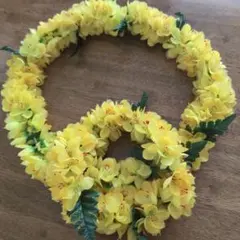 フラダンス用レイ と 花冠