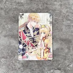 ある日お姫様に なってしまった トレカカード12枚セット ある日、お姫様になってしまった件について 12 クリアトレカ