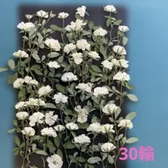 oni様 リクエスト 2点 まとめ商品