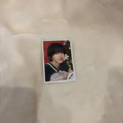 なにわ男子　道枝駿佑　ミニフォト