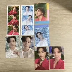 SEVENTEEN sector17 ディノ