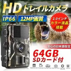 Item thumbnail for item 81fdd5fd-7395-4b52-ae79-e0fc76db62a8