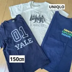 UNIQLO 150㎝Tシャツ3枚セット