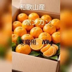 2026年最新】訳ありポンカンの人気アイテム - メルカリ