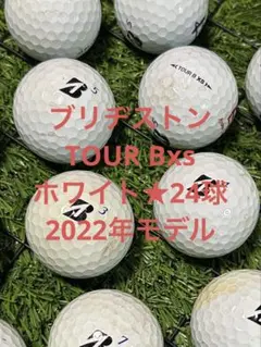 Item thumbnail for item 7e2d4d62-2345-4442-b0e1-8dc1dbc99e39